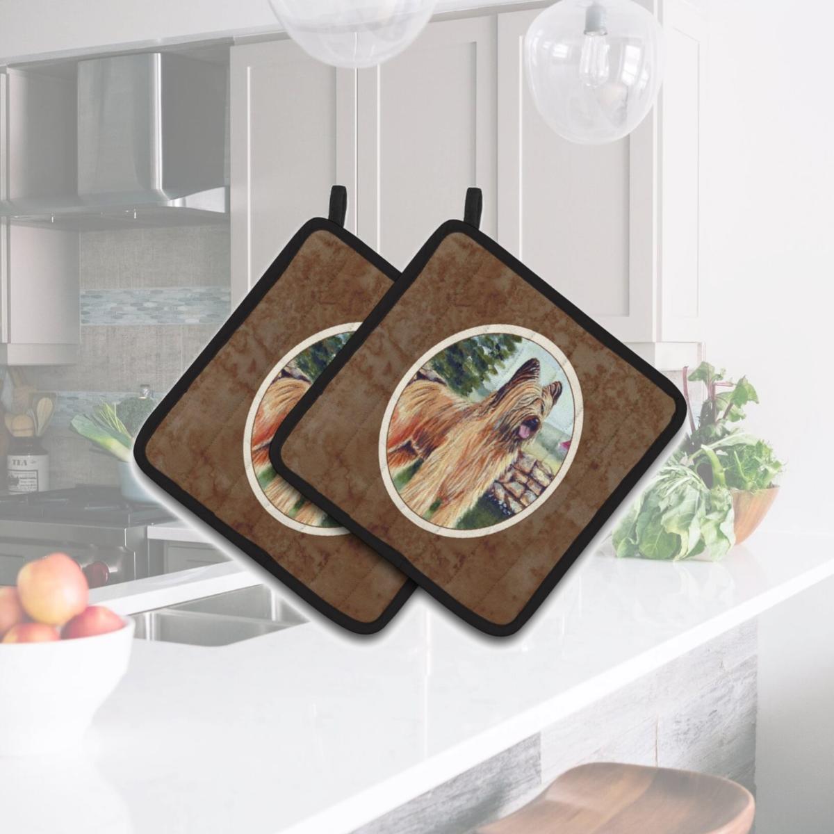 Picture of Carolines Treasures 7003PTHD Briard Pair of Pot Holders
