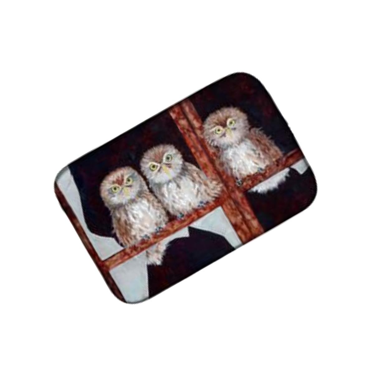 Picture of Carolines Treasures FHC1002DDM Owls by Ferris Hotard Dish Drying Mat
