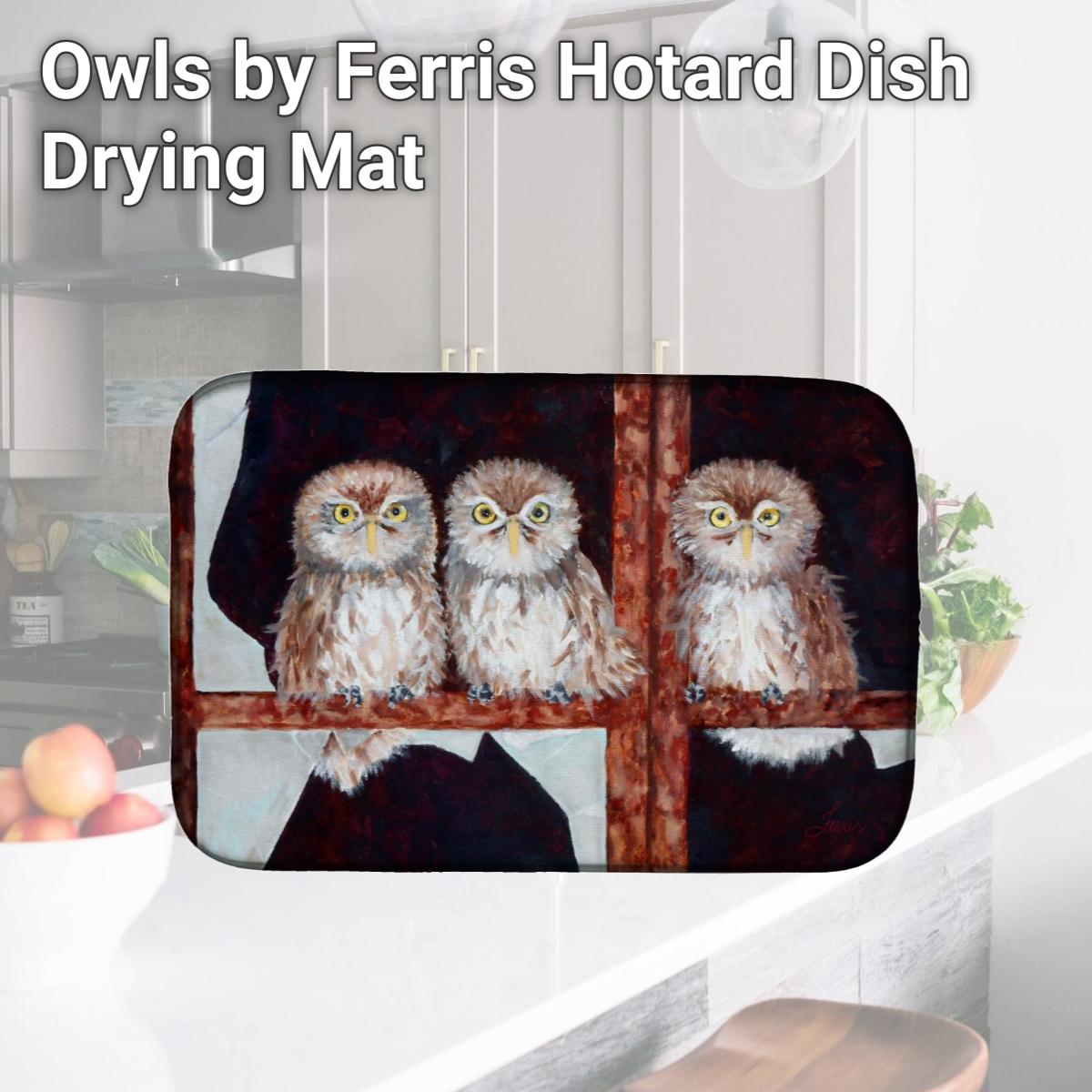 Picture of Carolines Treasures FHC1002DDM Owls by Ferris Hotard Dish Drying Mat