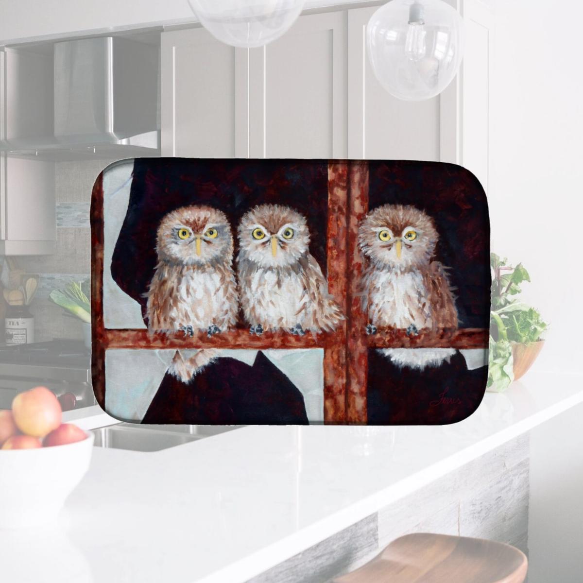 Picture of Carolines Treasures FHC1002DDM Owls by Ferris Hotard Dish Drying Mat