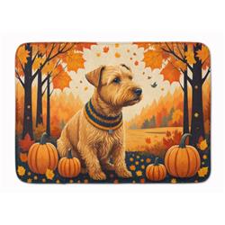 UPC 780257245026 product image for 19 x 27 in. Unisex Lakeland Terrier Fall Memory Foam Kitchen Mat | upcitemdb.com
