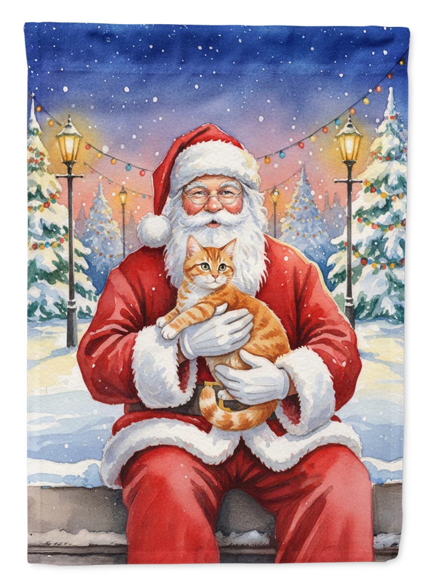 FNT1144GF 15.5 x 11.25 in. Orange Mackerel Tabby Cat with Santa Claus Garden Flag