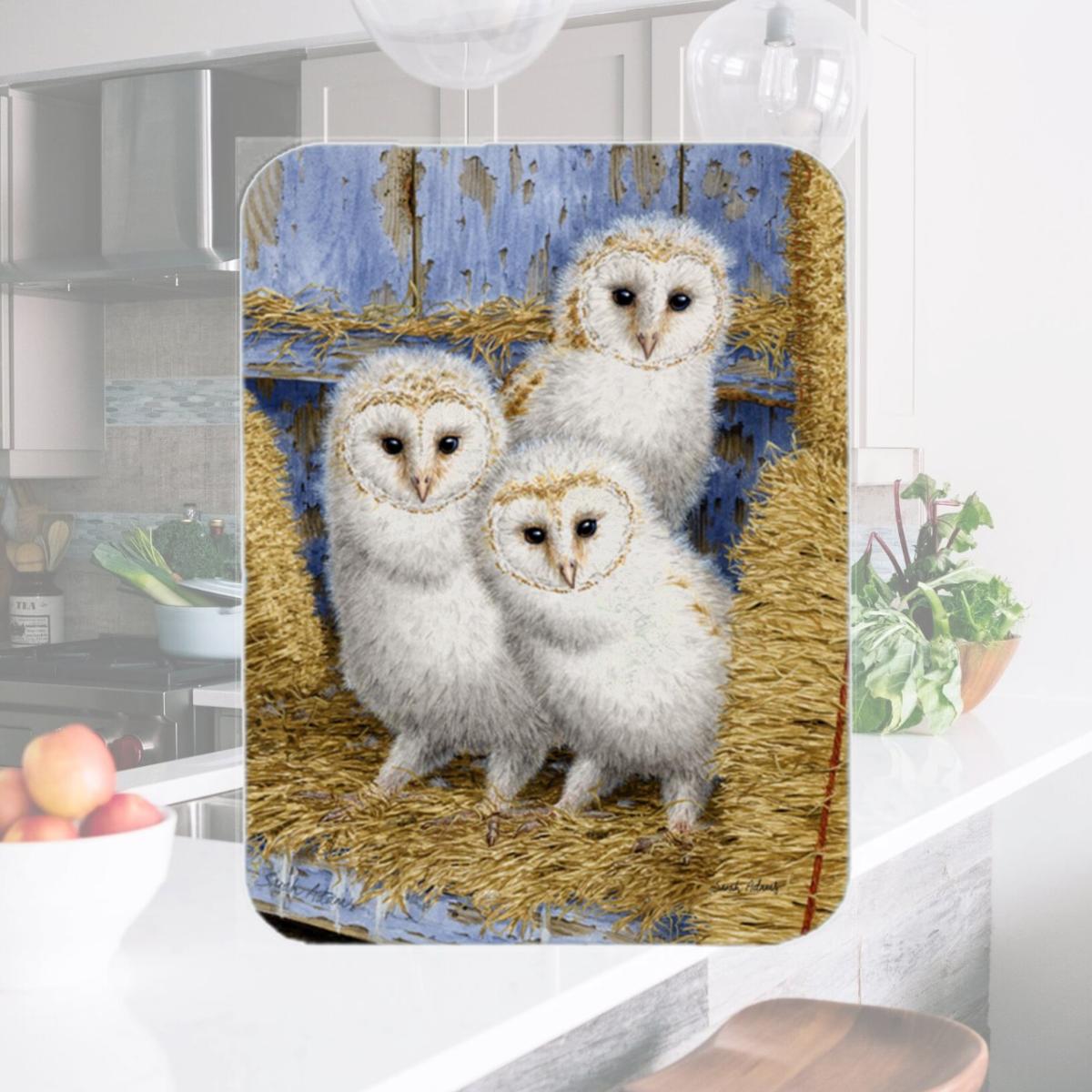 Picture of Carolines Treasures ASA2076LCB Barn Owl Chicks Glass Cutting Board- Large