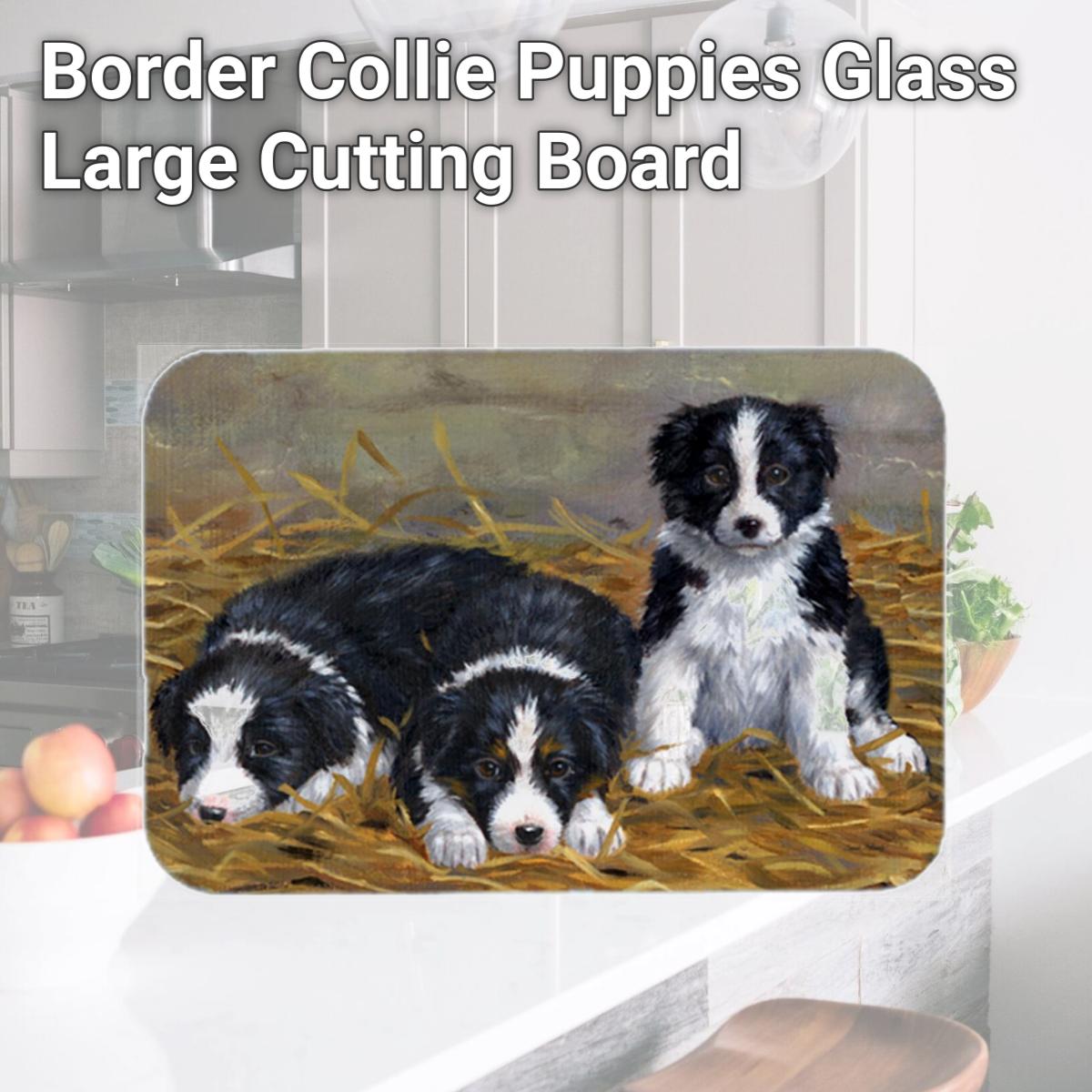 Picture of Carolines Treasures ASA2196LCB Border Collie Puppies Glass Large Cutting Board