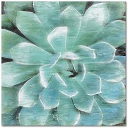 Web-csp173-16x16 16 X 16 In. Succulent Memory I Gallery-wrapped Canvas Wall Art