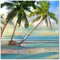 Web-ct880-16x16 16 X 16 In. A Found Paradise Iii Gallery-wrapped Canvas Wall Art