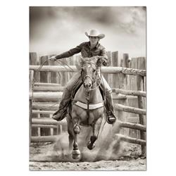 Web-wt261-20x24 20 X 24 In. Ride Em Cowgirl Gallery-wrapped Canvas Wall Art