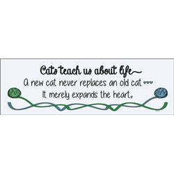 3756 Cats Teach Us About Life Wall Plaque