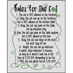 43193 Rules For The Cat Wall Plaque