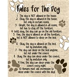 43194 8 X 10 In. Rules For The Dog Wall Plaque