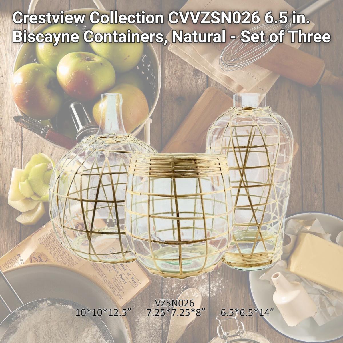 Picture of Crestview Collection CVVZSN026 6.5 in. Biscayne Containers, Natural - Set of Three