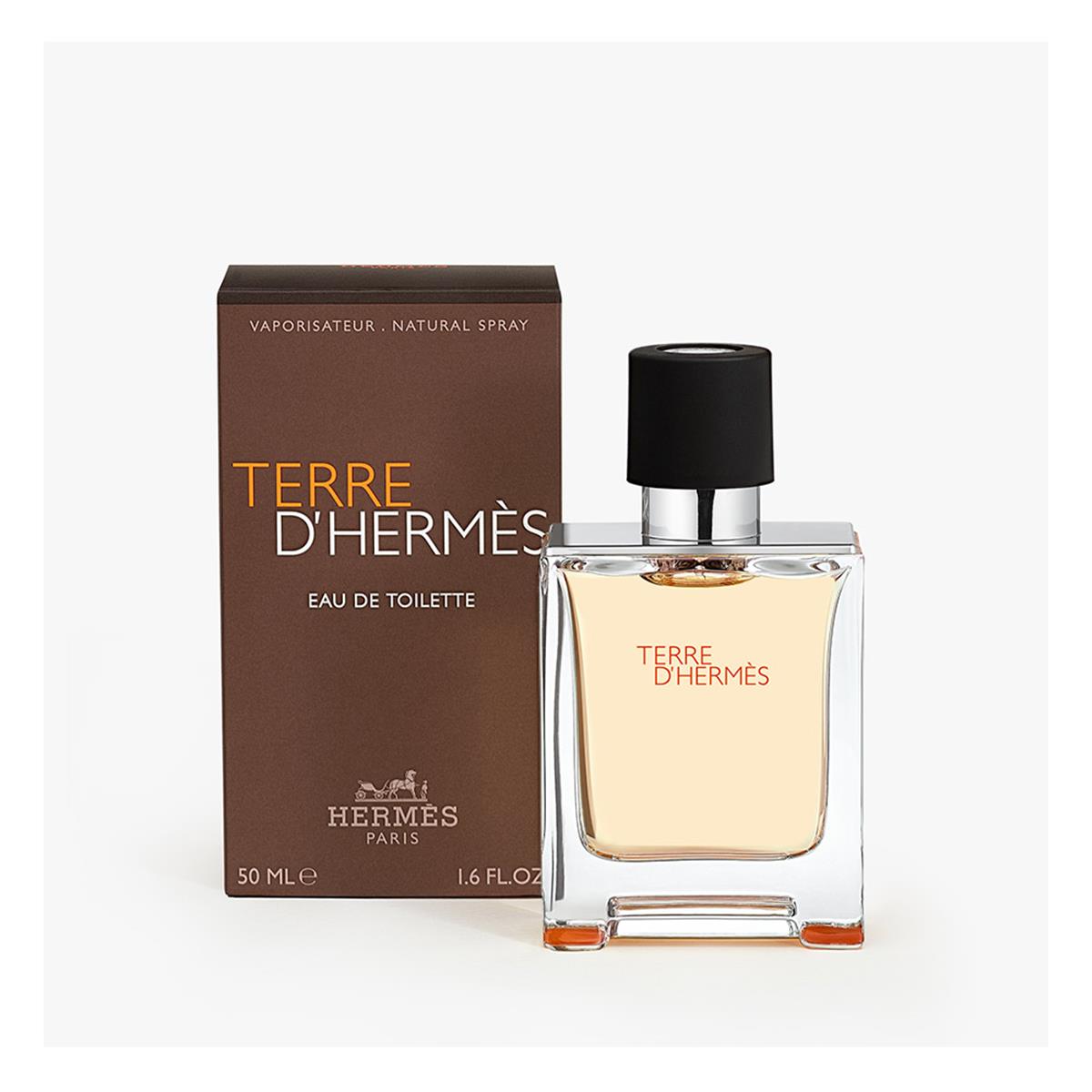 EAN 3346130009610 product image for TDHMTS17B-A 1.7 oz Men Eau De Toilette Travel Spray, Terre | upcitemdb.com