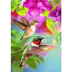 3116fl Hummers In Flight Double Sided House Flag
