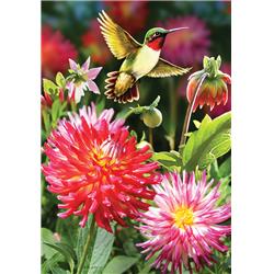 3640fm Hummingbird Dahlias Double Sided Garden Flag