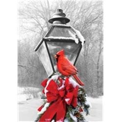 3875fl 28 X 40 In. Cardinal Lamp Post House Polyester Flag