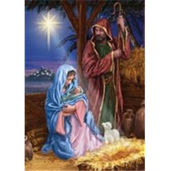 3881fl 28 X 40 In. Mary & Joseph House Polyester Flag