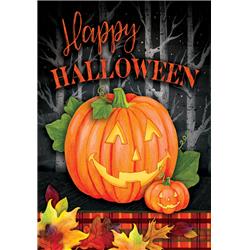 4115fl 28 X 40 In. Halloween Jack Double Sided House Flag