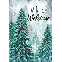 4135fl 28 X 40 In. Winter Wonderland Welcome Double Sided House Flag