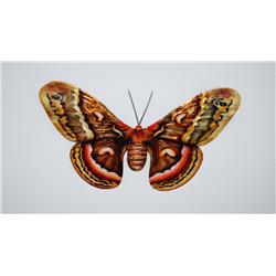 Esh125 Butterfly Wall Decor Brown