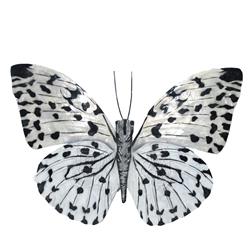 Esh126 Butterfly Wall Decor Black & White