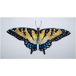 Esh130 Butterfly Wall Decor Gold & Blue