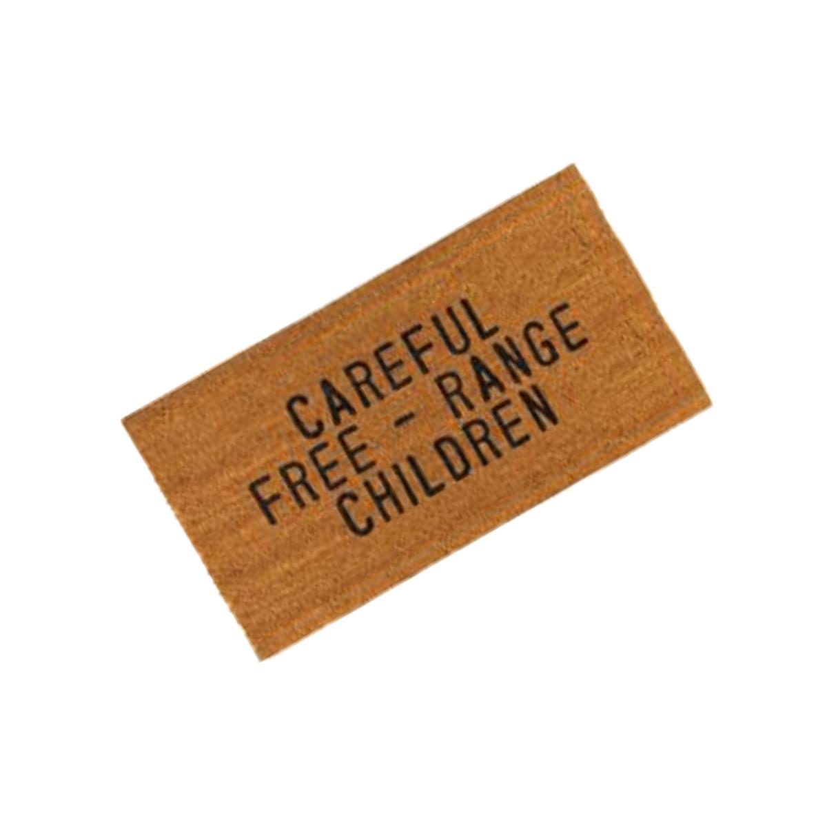 Picture of Christian Brands G2232 Face to Face Careful Door MatPack of 2