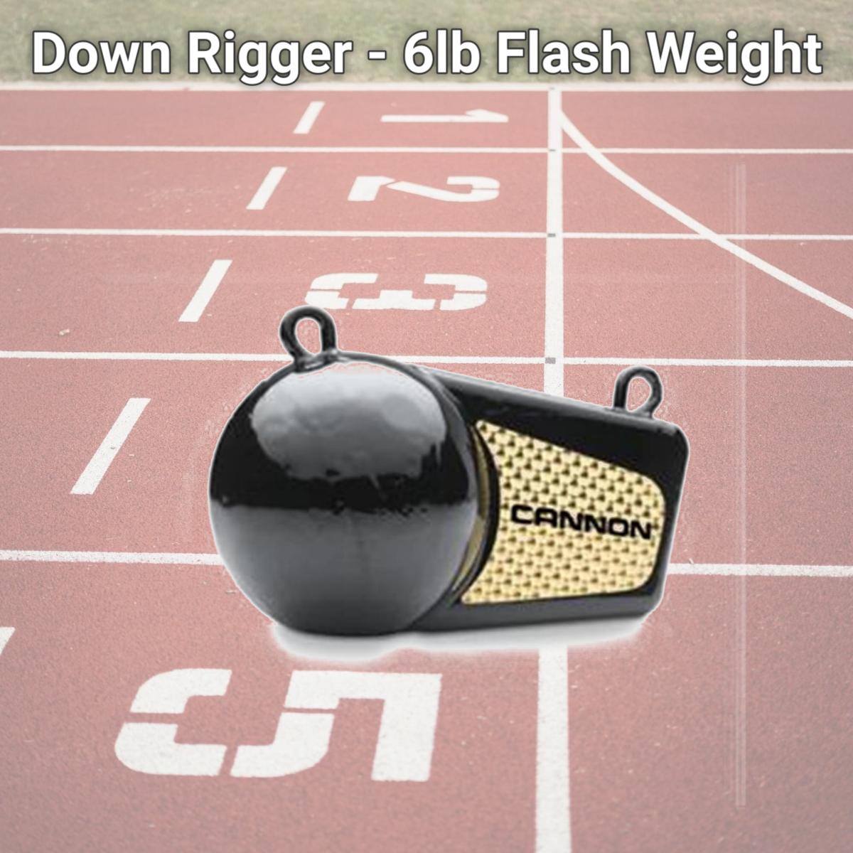 Picture of Cannon 2295180 Down Rigger - 6lb Flash Weight