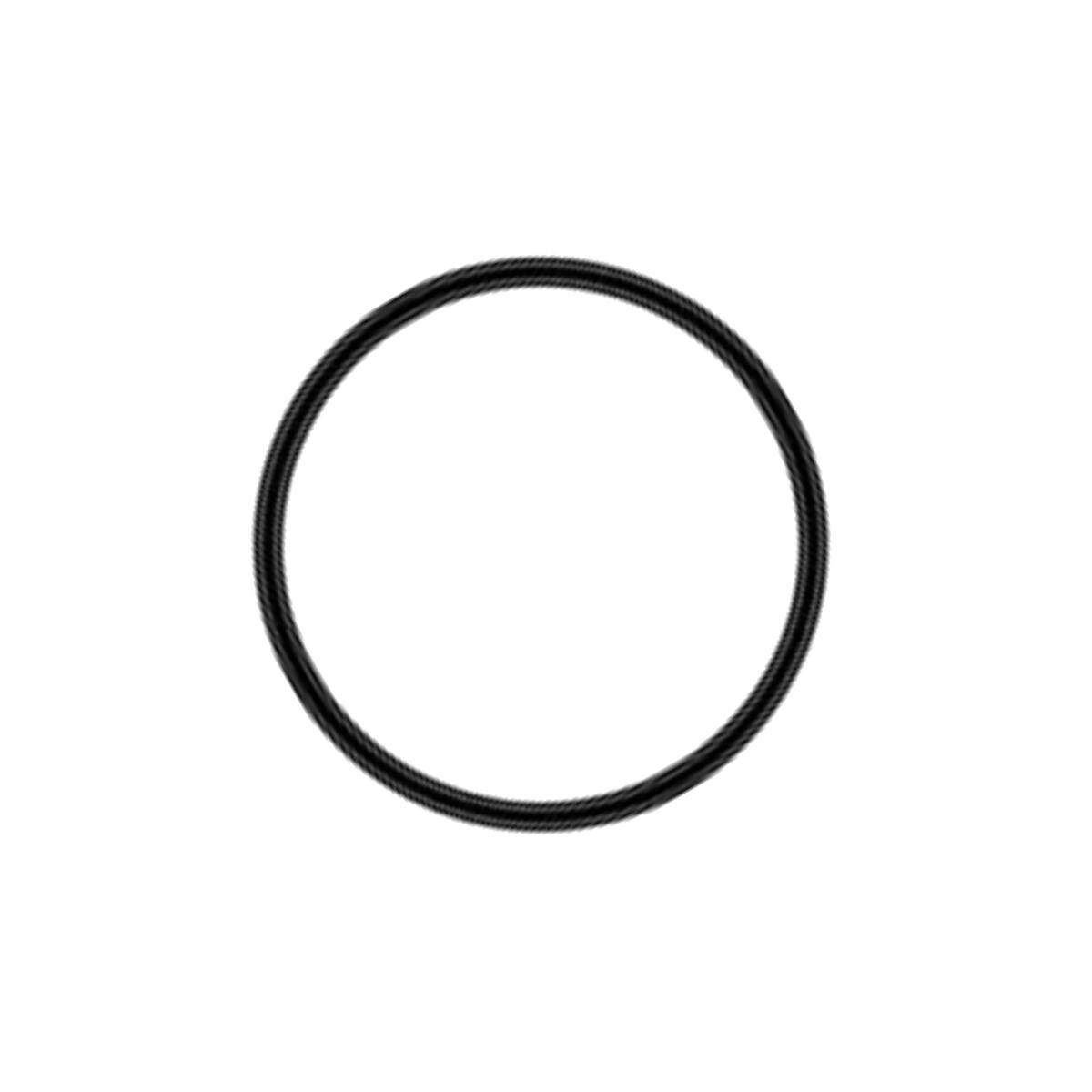 Picture of Culligan OR-100 O-Ring for Big Blue Housings