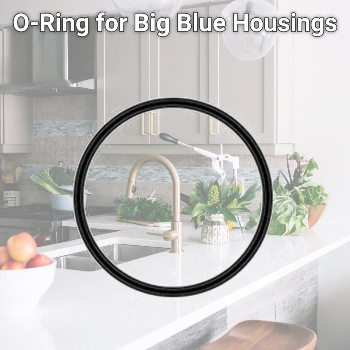Picture of Culligan OR-100 O-Ring for Big Blue Housings