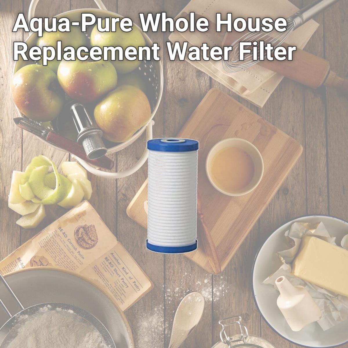 Picture of Commercial Water Distributing AQUAPURE-AP810-2 Aqua-Pure Whole House Replacement Water Filter