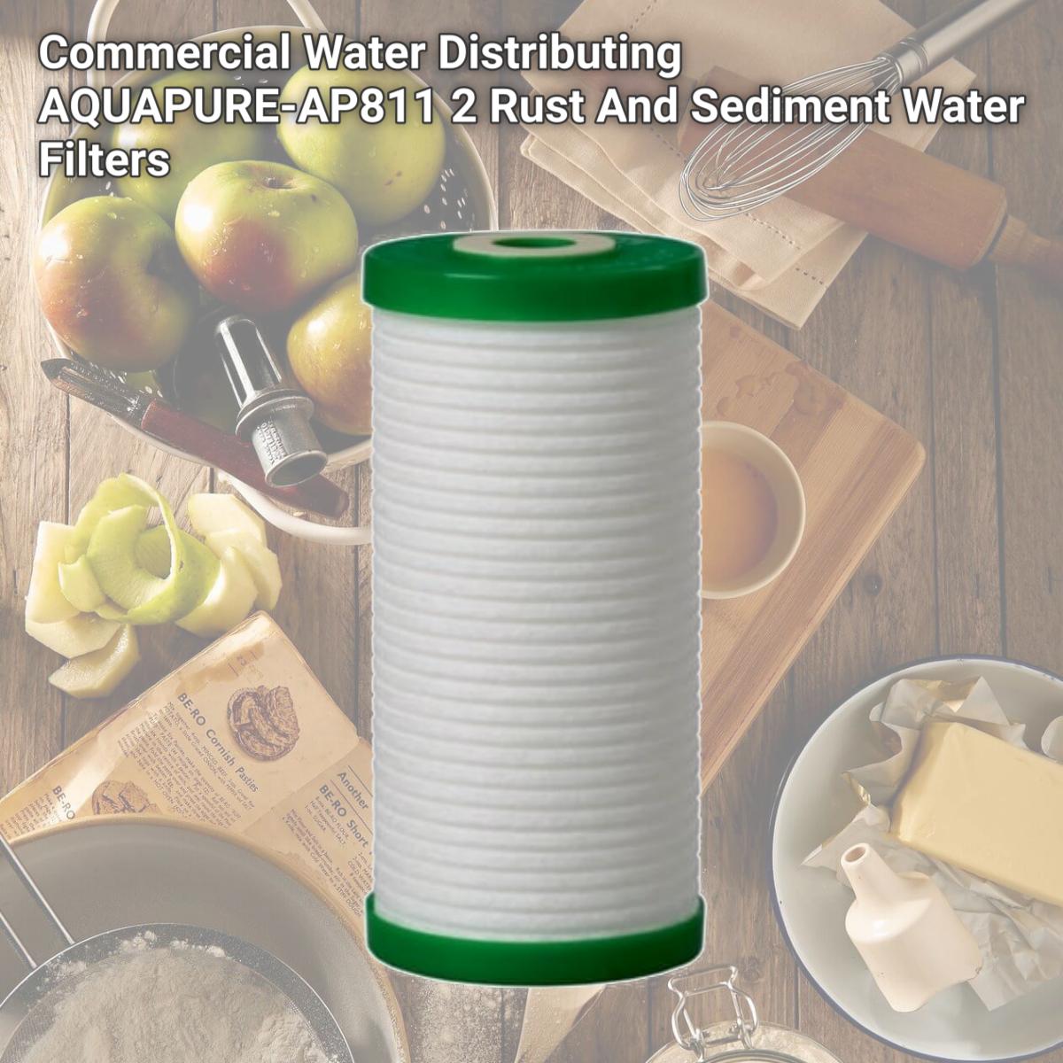 Picture of Commercial Water Distributing AQUAPURE-AP811 2 Rust And Sediment Water Filters
