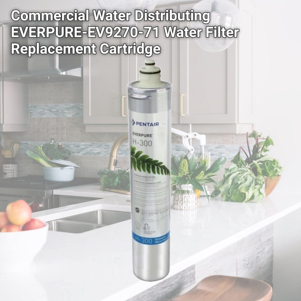 Picture of Commercial Water Distributing EVERPURE-EV9270-71 Water Filter Replacement Cartridge