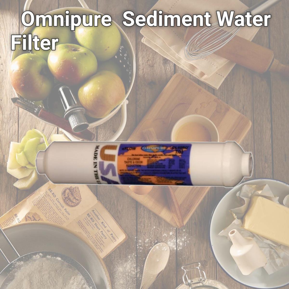 Picture of Commercial Water Distributing OMNIPURE-K2505-JJ Omnipure OMNIPURE-K2505-JJ Sediment Water Filter