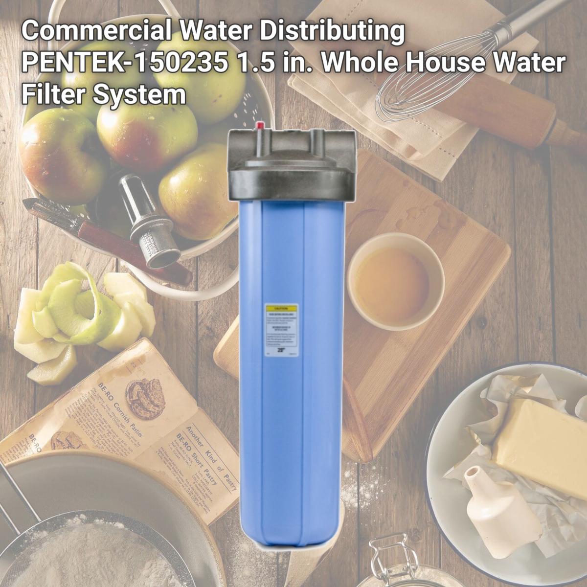 Picture of Commercial Water Distributing PENTEK-150235 1.5 in. Whole House Water Filter System