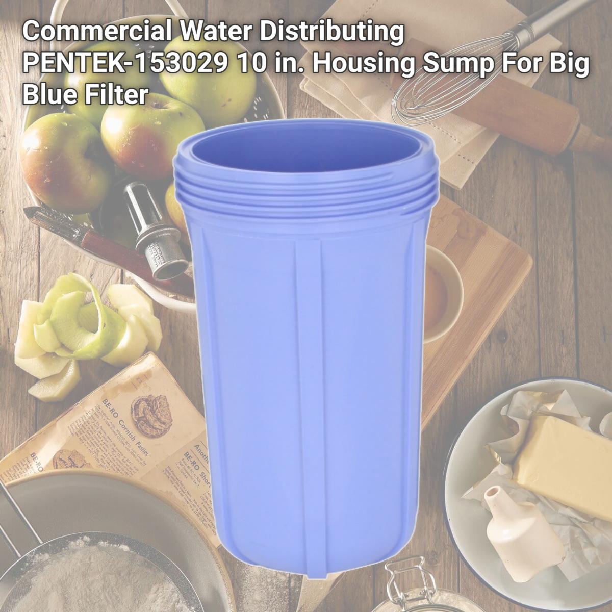 Picture of Commercial Water Distributing PENTEK-153029 10 in. Housing Sump For Big Blue Filter