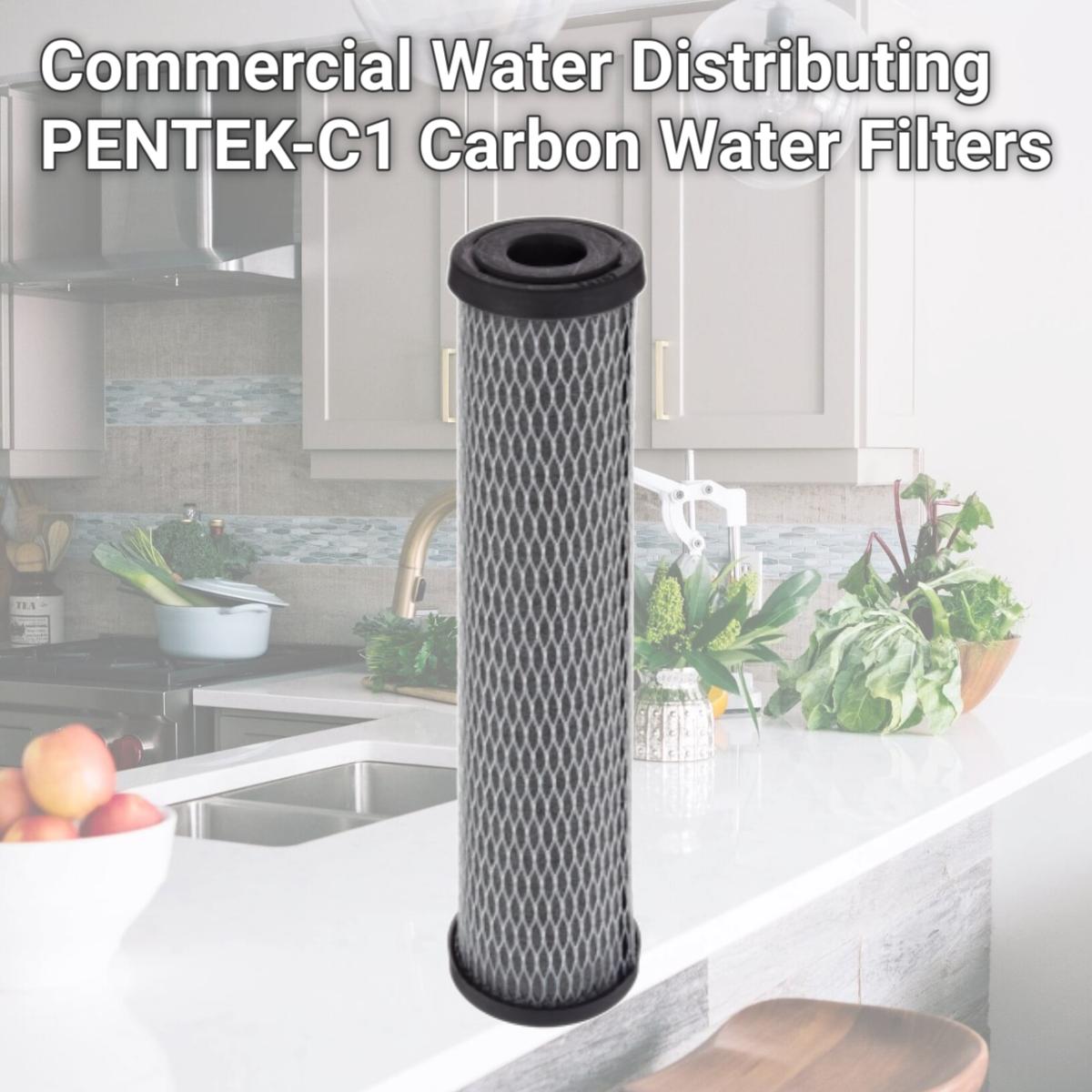 Picture of Commercial Water Distributing PENTEK-C1 Carbon Water Filters