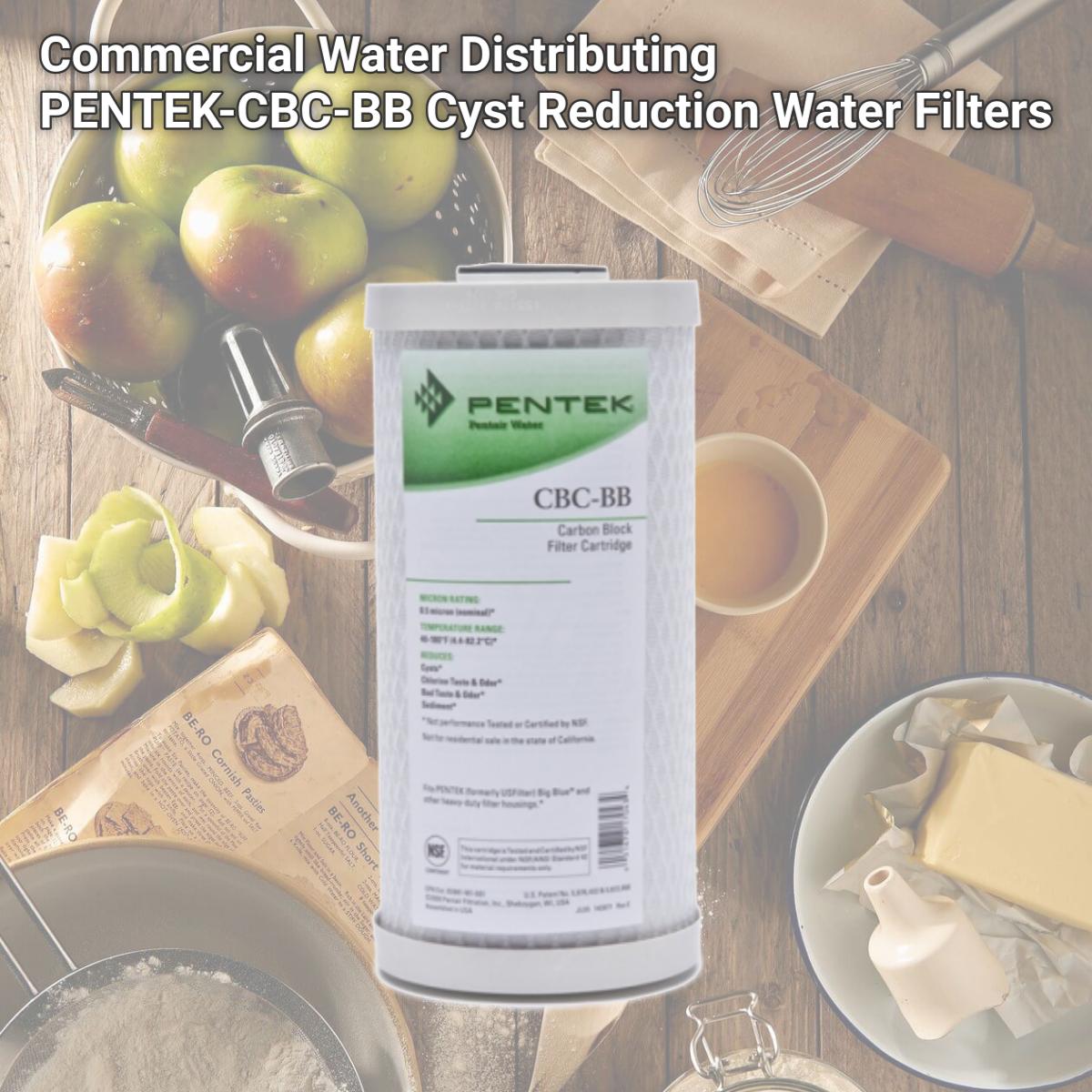 Picture of Commercial Water Distributing PENTEK-CBC-BB Cyst Reduction Water Filters