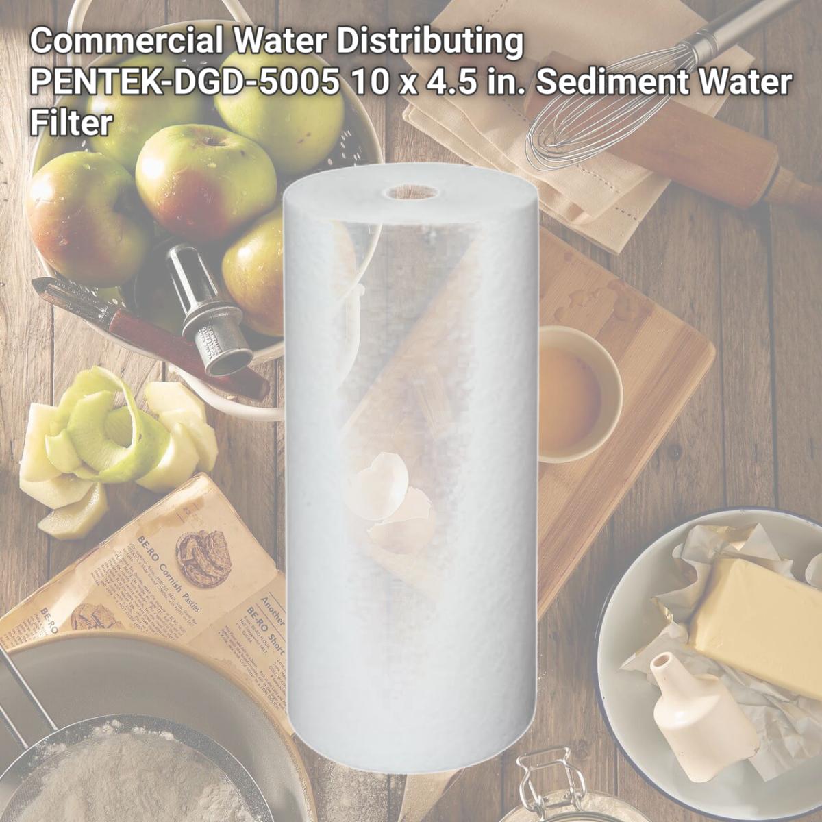 Picture of Commercial Water Distributing PENTEK-DGD-5005 10 x 4.5 in. Sediment Water Filter