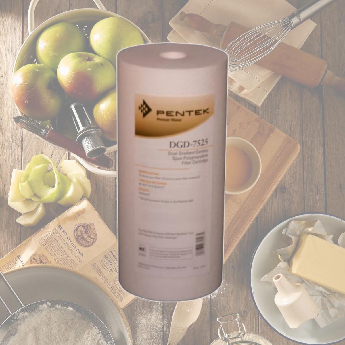 Picture of Commercial Water Distributing PENTEK-DGD-7525 Pentek PENTEK-DGD-7525 Sediment Water Filters - 10 in. x 4.5 in.