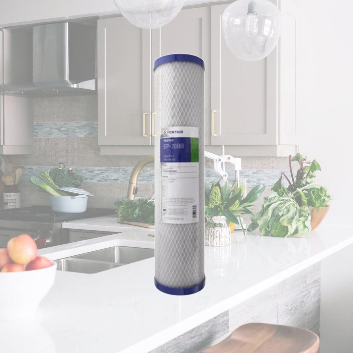 Picture of Commercial Water Distributing PENTEK-EP-20BB Carbon Block Water Filters