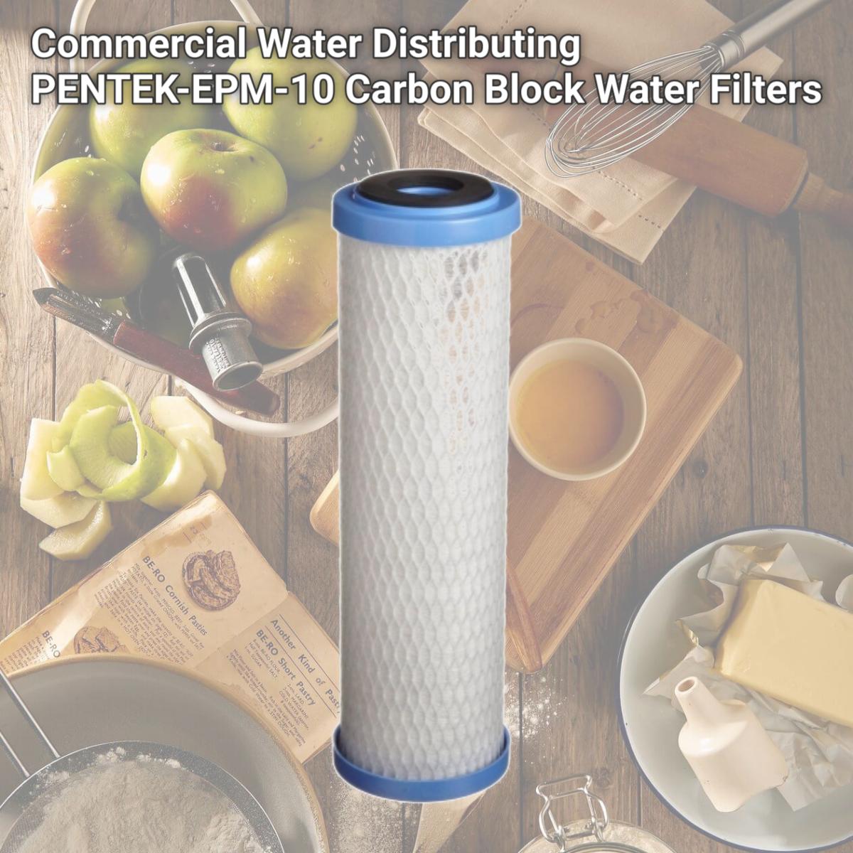 Picture of Commercial Water Distributing PENTEK-EPM-10 Carbon Block Water Filters