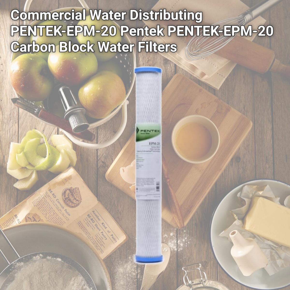 Picture of Commercial Water Distributing PENTEK-EPM-20 Pentek PENTEK-EPM-20 Carbon Block Water Filters