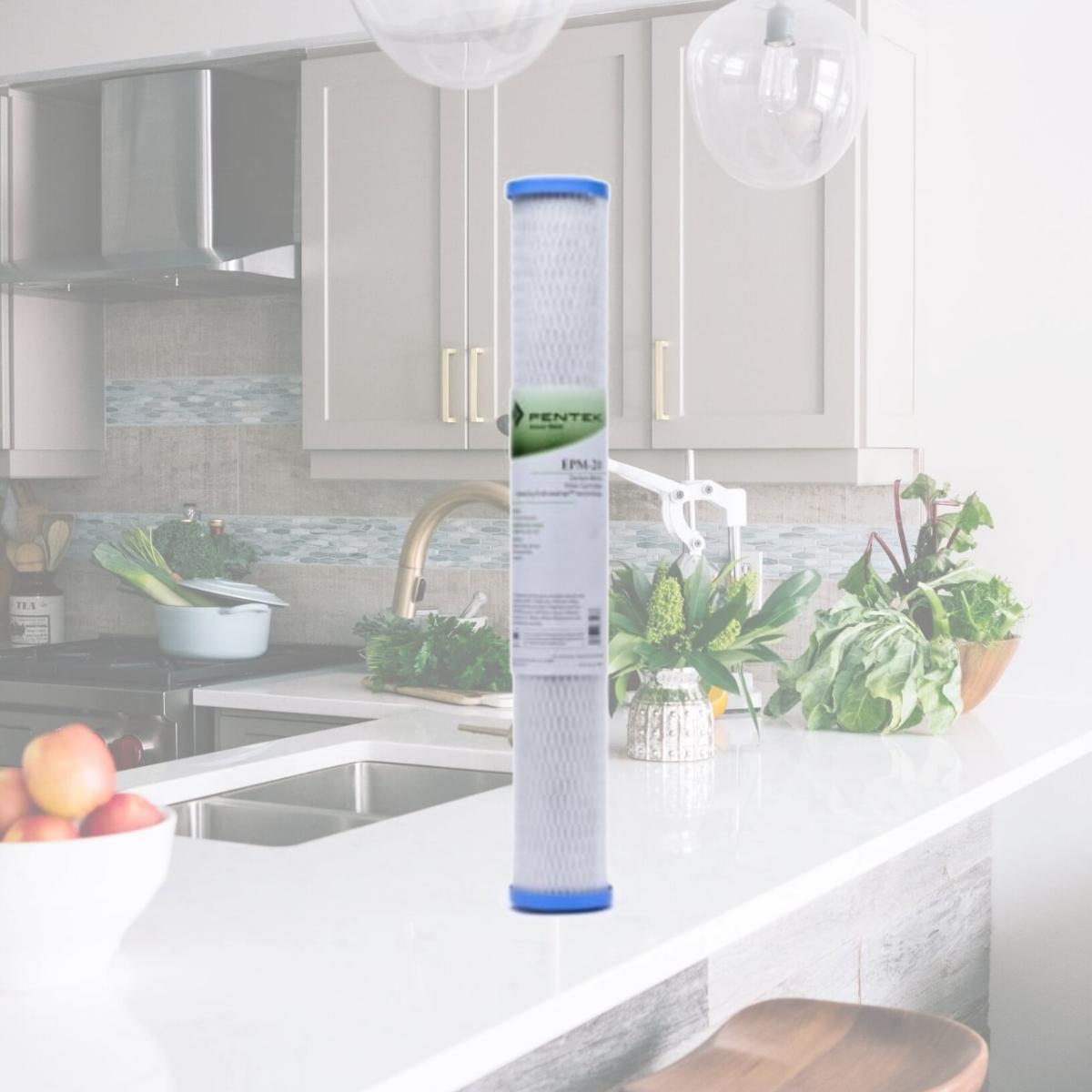 Picture of Commercial Water Distributing PENTEK-EPM-20 Pentek PENTEK-EPM-20 Carbon Block Water Filters