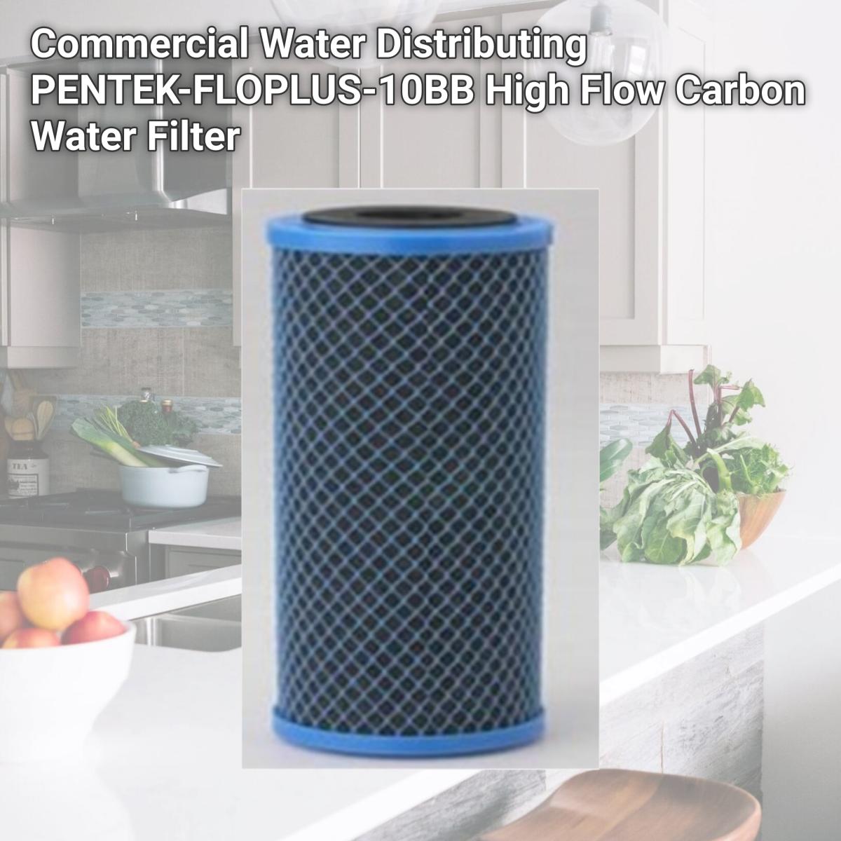 Picture of Commercial Water Distributing PENTEK-FLOPLUS-10BB High Flow Carbon Water Filter