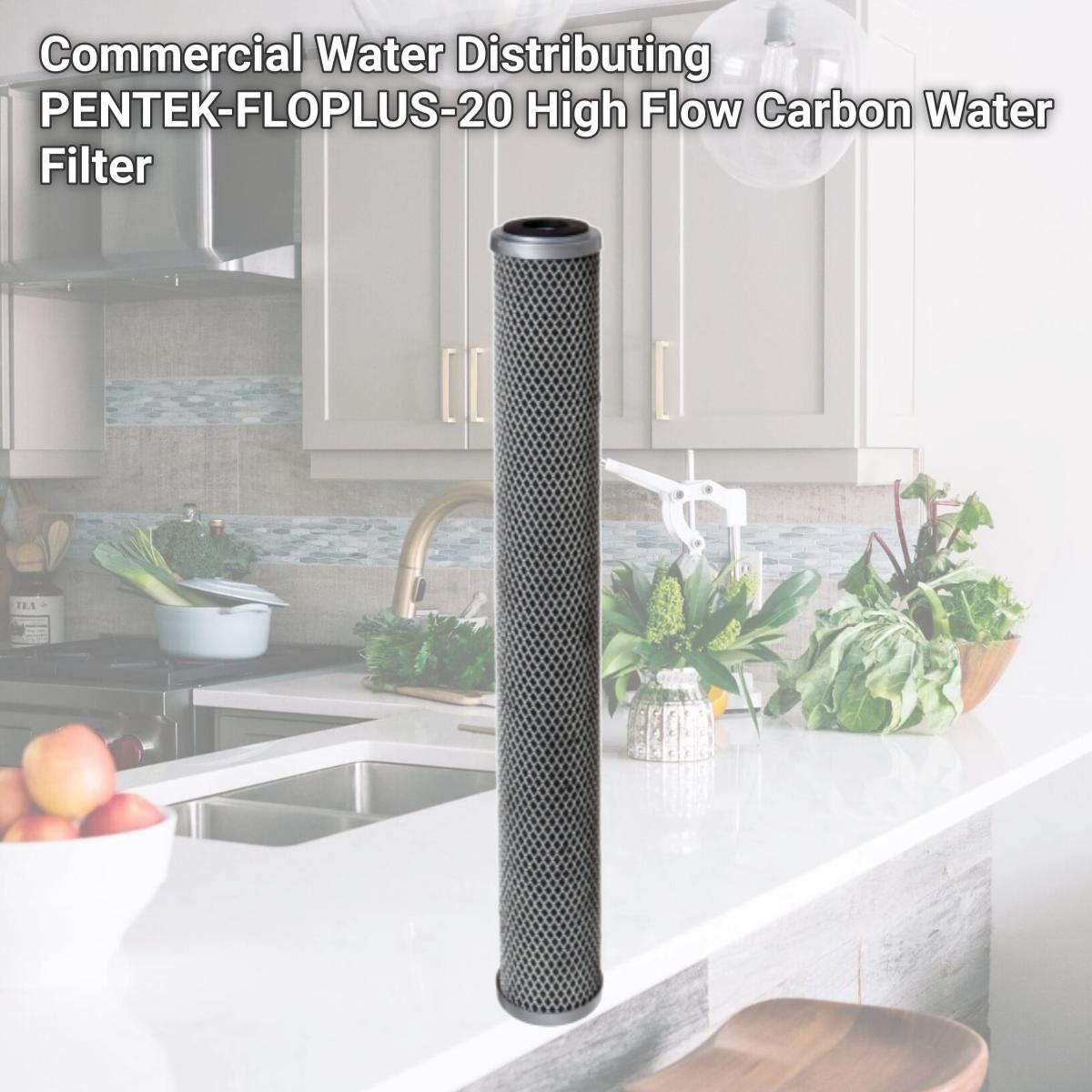 Picture of Commercial Water Distributing PENTEK-FLOPLUS-20 High Flow Carbon Water Filter