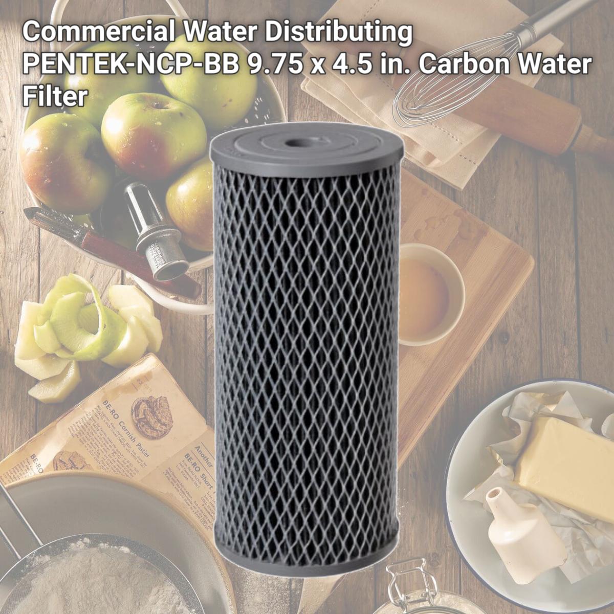 Picture of Commercial Water Distributing PENTEK-NCP-BB 9.75 x 4.5 in. Carbon Water Filter
