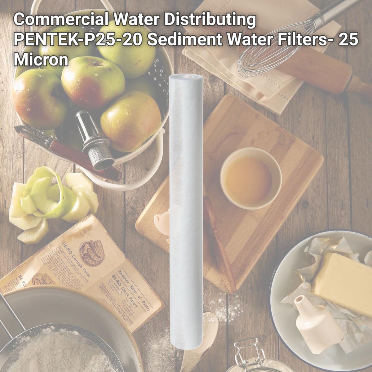 Picture of Commercial Water Distributing PENTEK-P25-20 Sediment Water Filters- 25 Micron