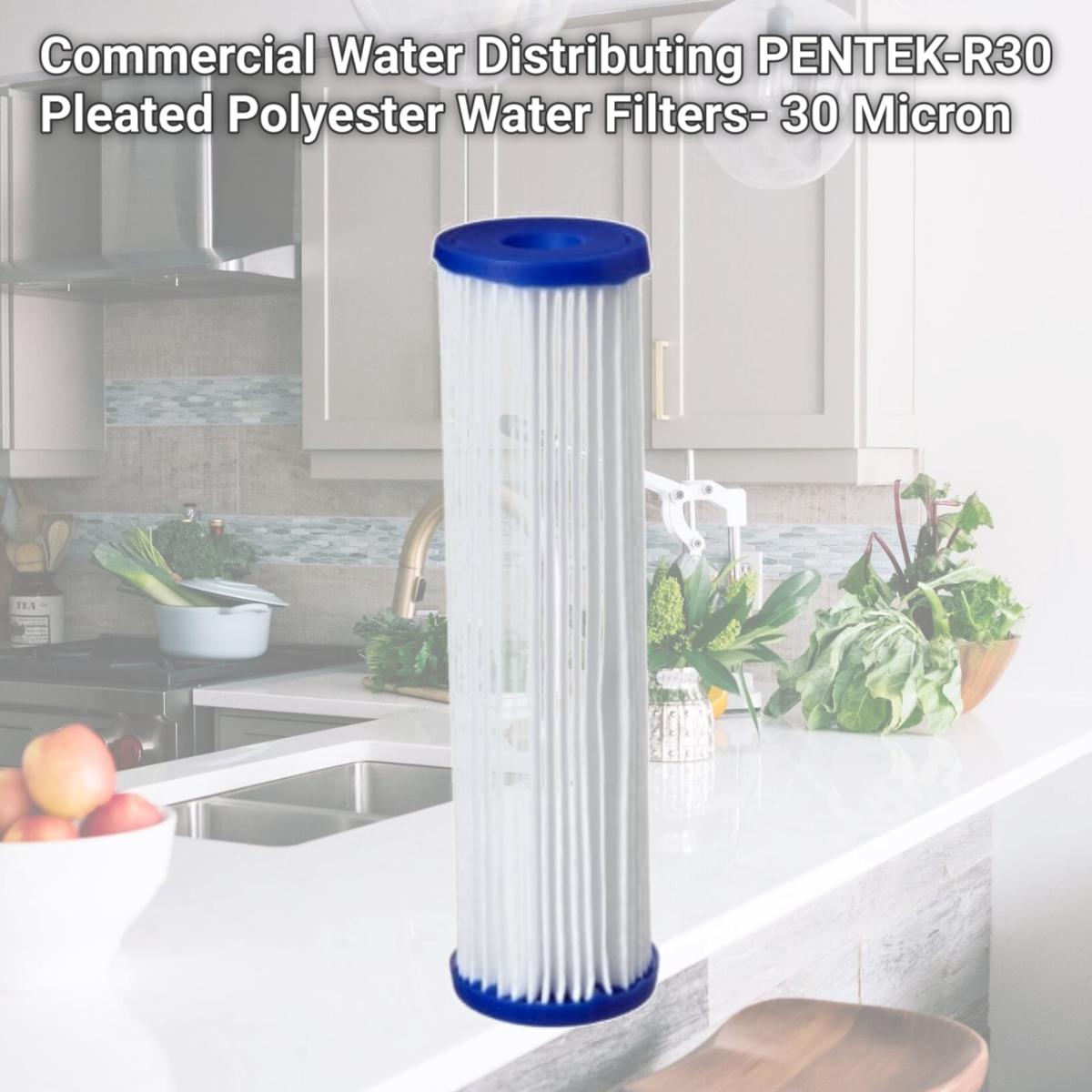 Picture of Commercial Water Distributing PENTEK-R30 Pleated Polyester Water Filters- 30 Micron