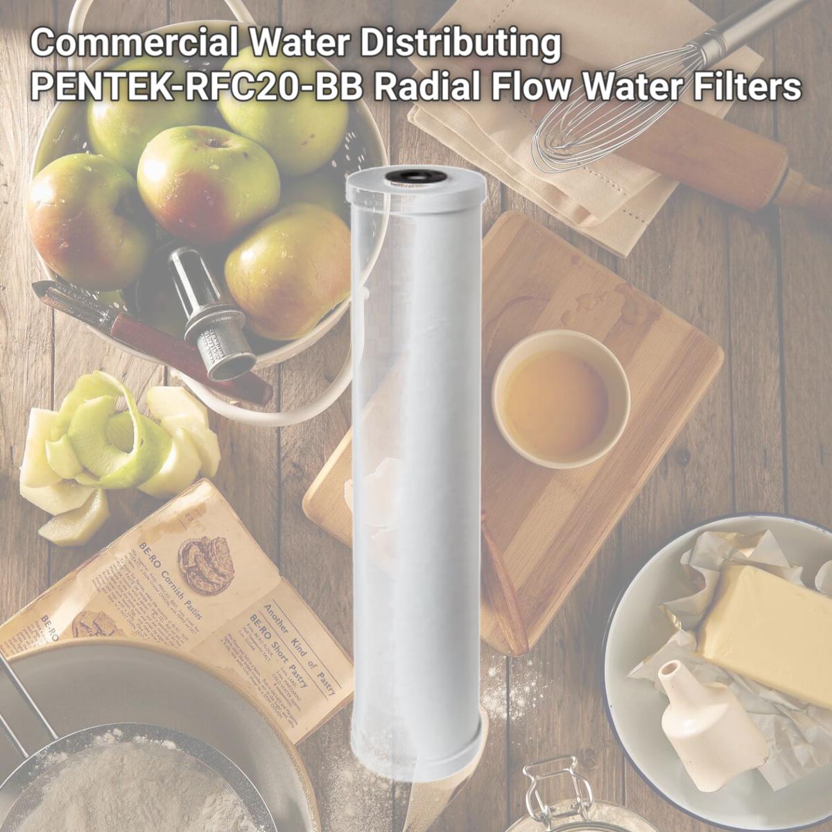 Picture of Commercial Water Distributing PENTEK-RFC20-BB Radial Flow Water Filters