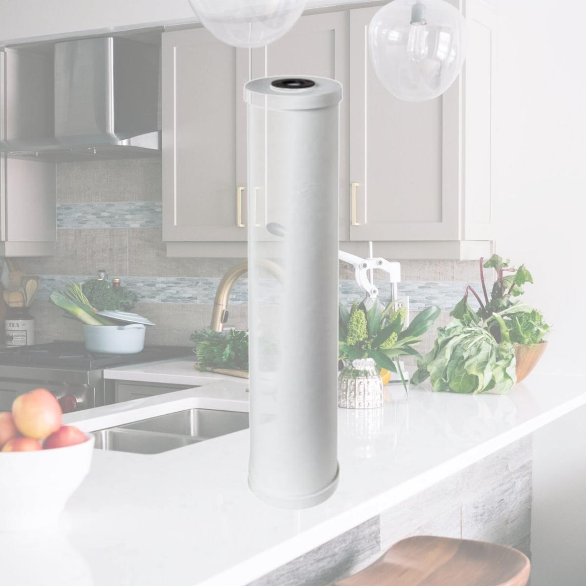 Picture of Commercial Water Distributing PENTEK-RFC20-BB Radial Flow Water Filters